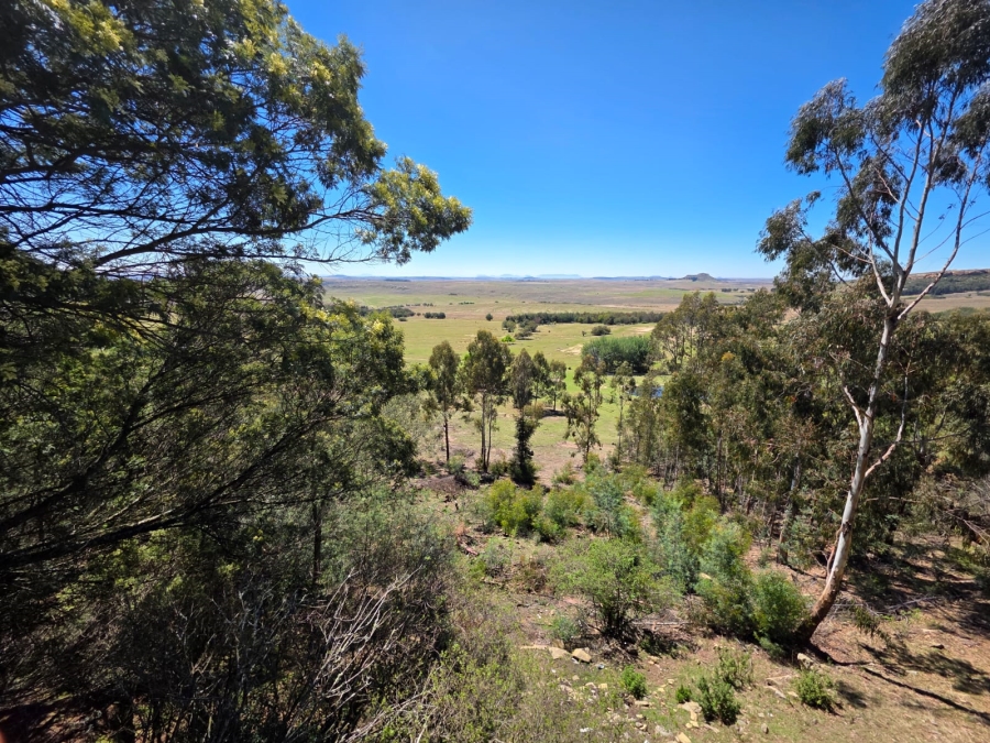 8 Bedroom Property for Sale in Bethlehem Rural Free State